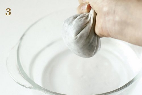 火龙果DIY盆景教程