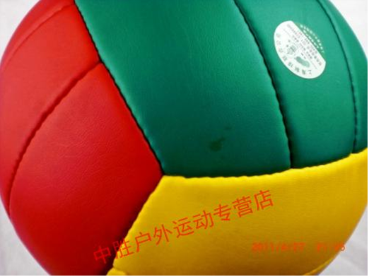Ballon de volley - Ref 2016164 Image 5