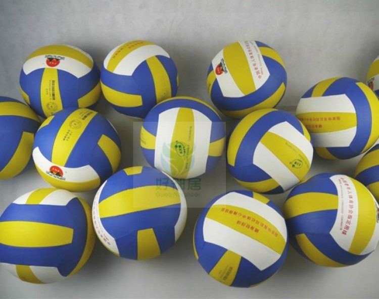 Ballon de volley - Ref 2013828 Image 6