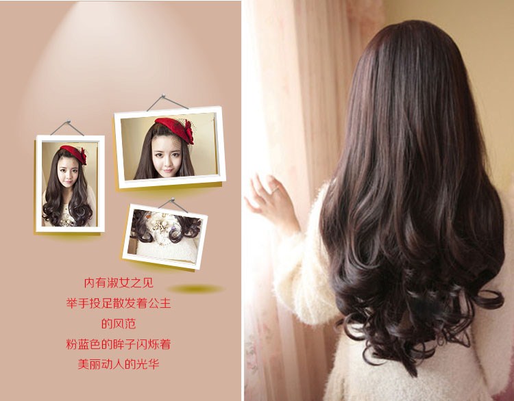Extension cheveux - Ref 225789 Image 15