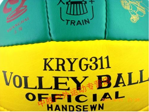 Ballon de volley - Ref 2016164 Image 6