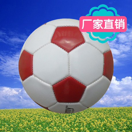 Ballon de volley - Ref 2013349 Image 3