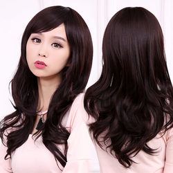 Extension cheveux - Chignon - Ref 237311 Image 22