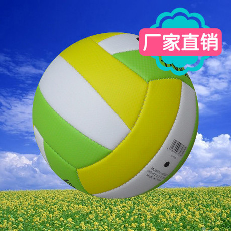 Ballon de volley - Ref 2013349 Image 4