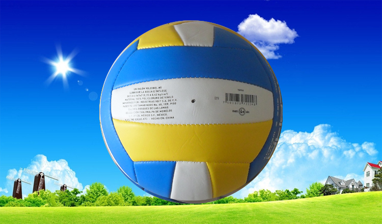Ballon de volley - Ref 2013349 Image 26