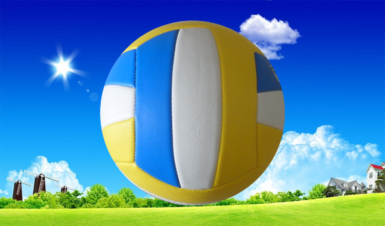 Ballon de volley - Ref 2013349 Image 28