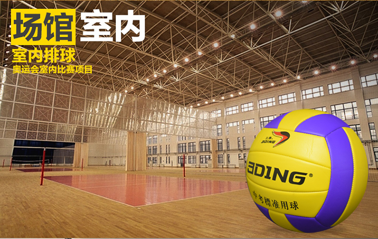 Ballon de volley - Ref 2012507 Image 14