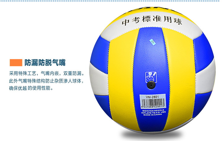 Ballon de volley - Ref 2012507 Image 11