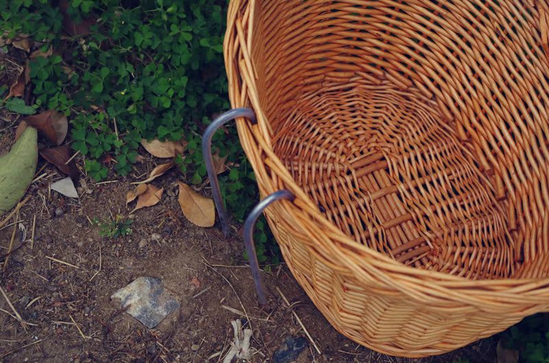 Panier pour vélo - Ref 2264845 Image 3