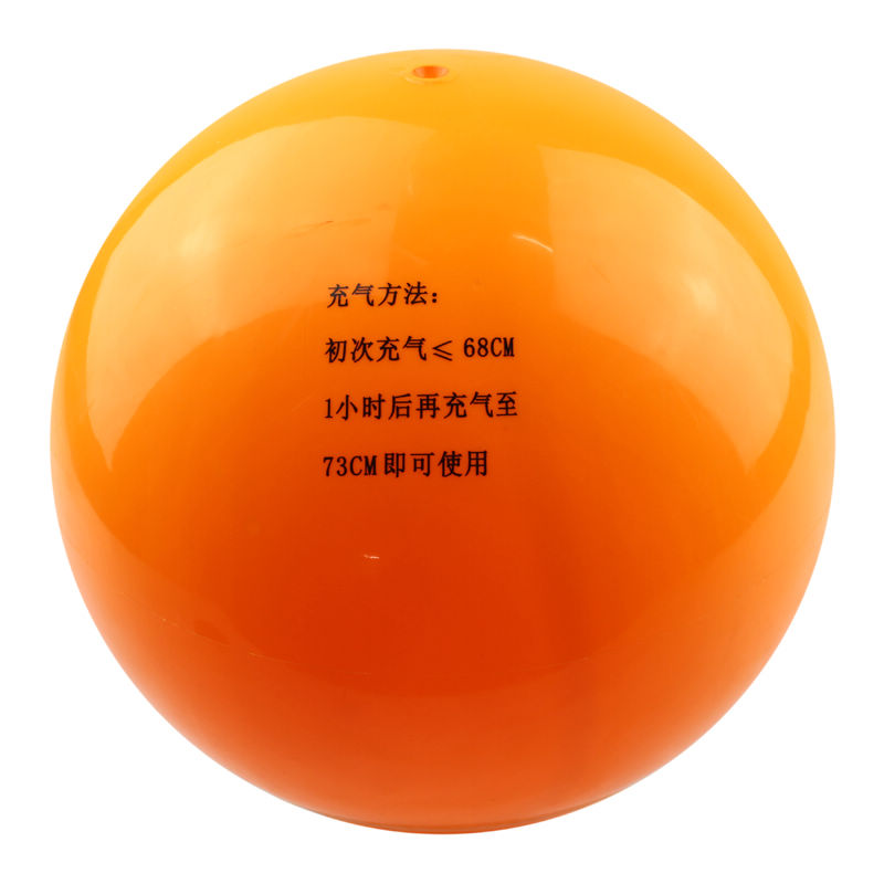 Ballon de volley-ball - Ref 2013005 Image 11