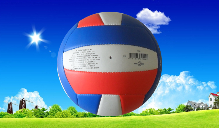 Ballon de volley - Ref 2013349 Image 24