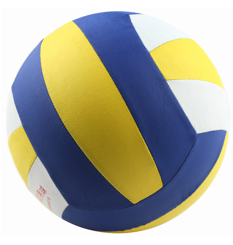 Ballon de volley - Ref 2009102 Image 22