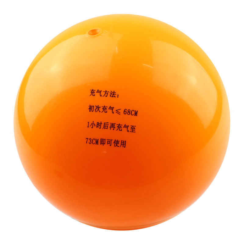 Ballon de volley-ball - Ref 2013005 Image 9