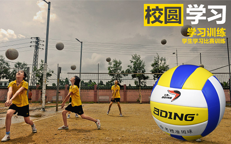 Ballon de volley - Ref 2012507 Image 13
