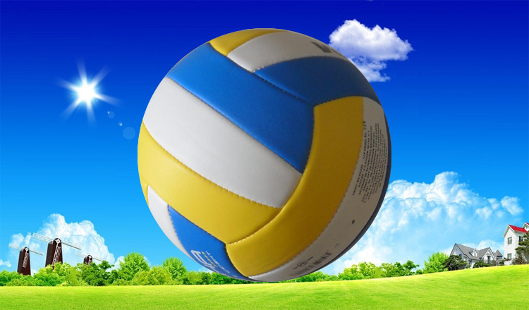 Ballon de volley - Ref 2013349 Image 25