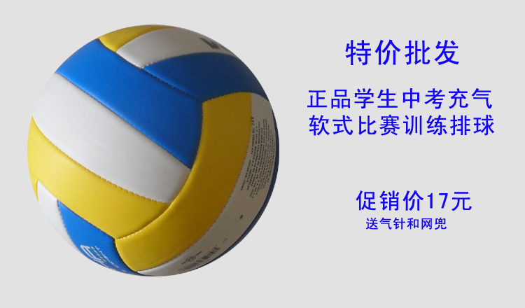 Ballon de volley - Ref 2013349 Image 16
