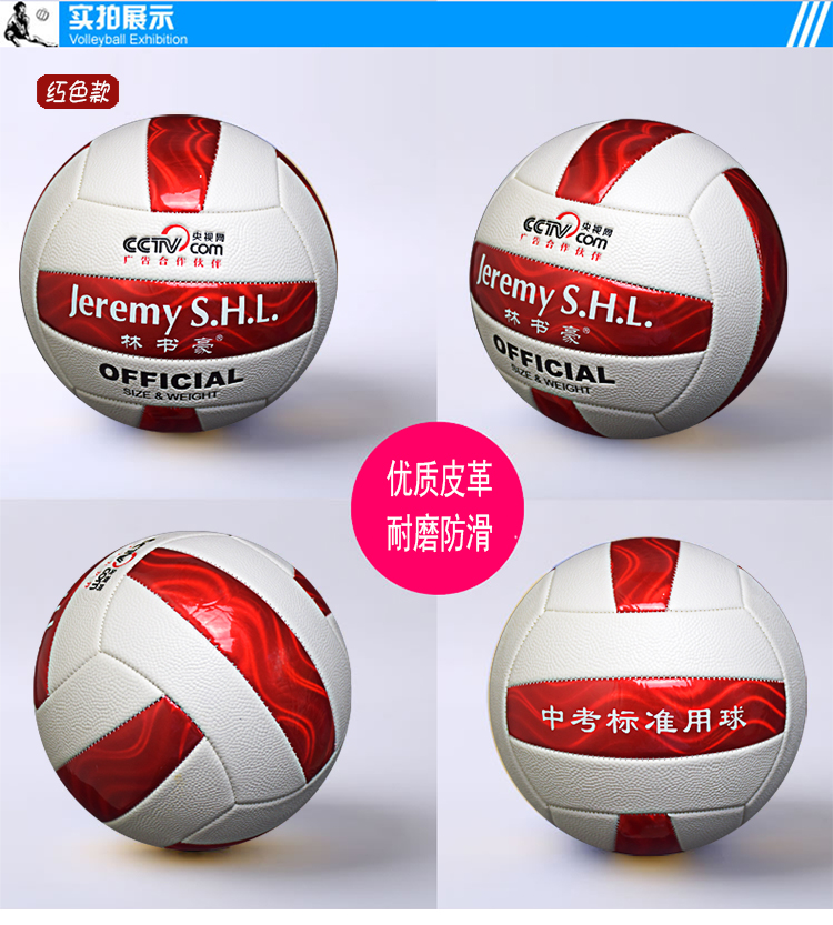 Ballon de volley - Ref 2012507 Image 26
