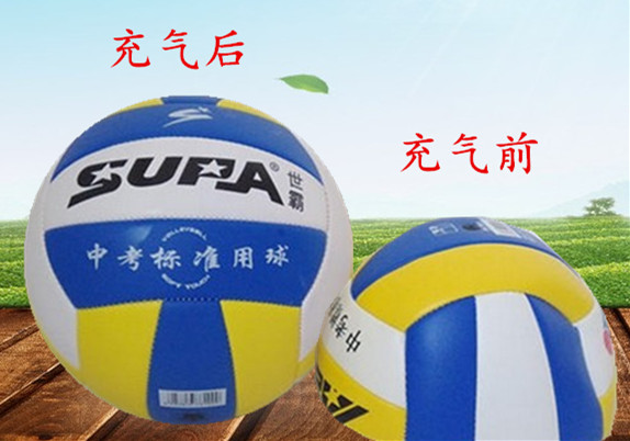 Ballon de volley - Ref 2016432 Image 10
