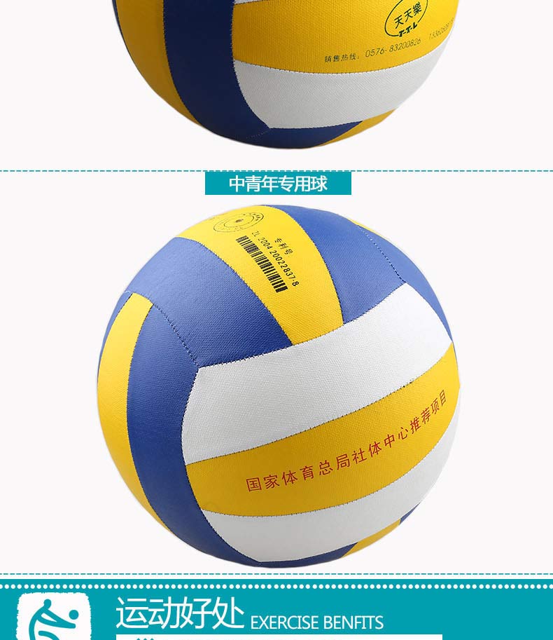 Ballon de volley-ball - Ref 2015202 Image 9