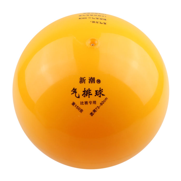 Ballon de volley-ball - Ref 2013005 Image 12