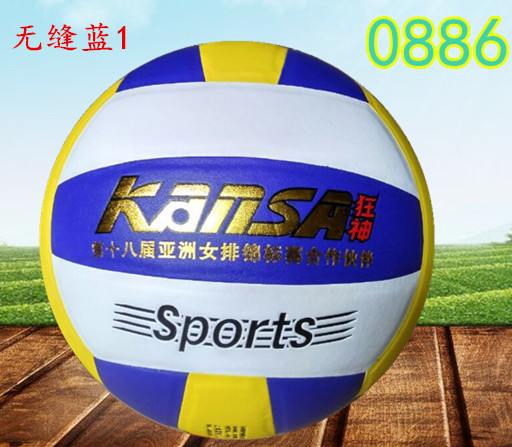 Ballon de volley - Ref 2016432 Image 14