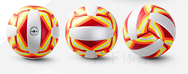Ballon de volley - Ref 2009328 Image 12