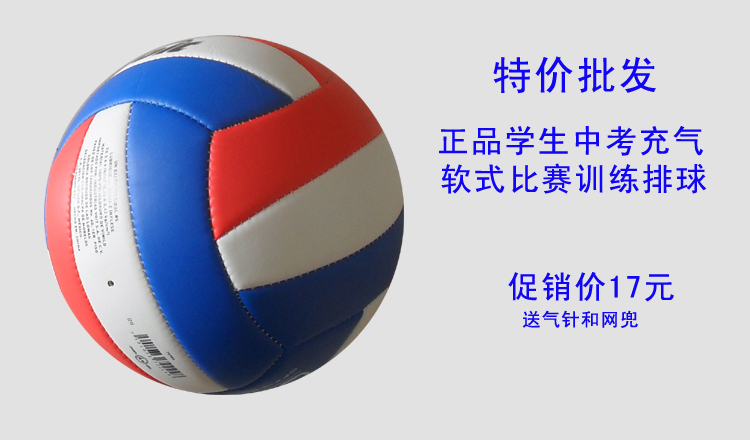 Ballon de volley - Ref 2013349 Image 15