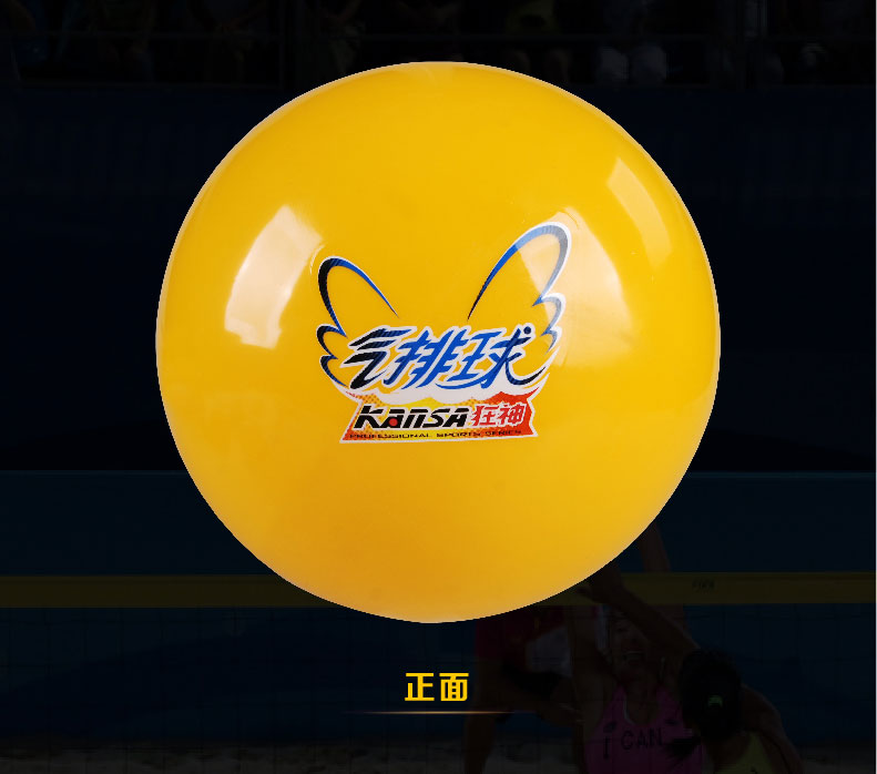 Ballon de volley - Ref 2009102 Image 14