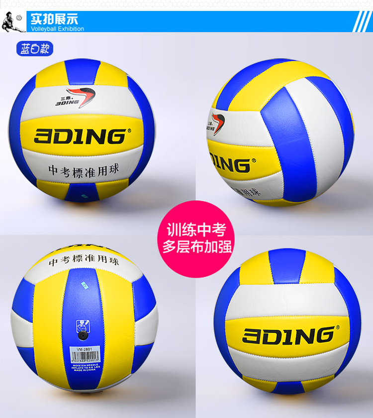 Ballon de volley - Ref 2012507 Image 18
