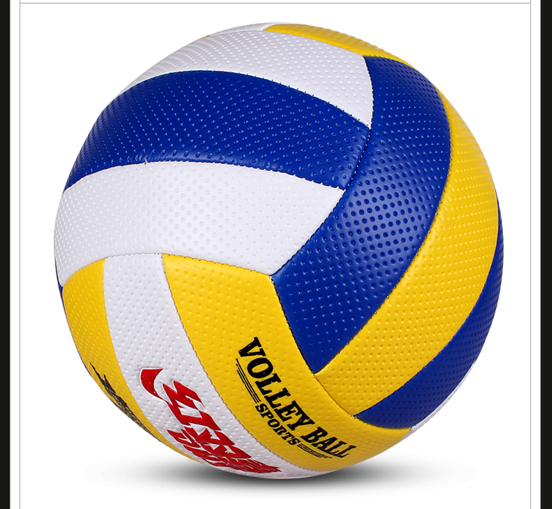 Ballon de volley - Ref 2009014 Image 17