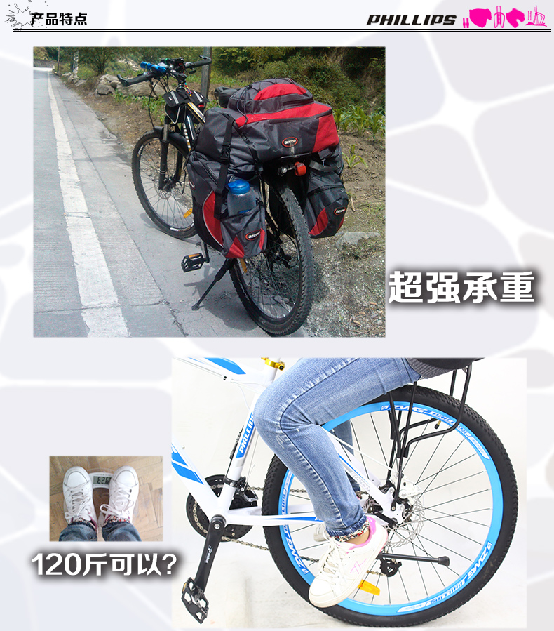 Porte-bagages pour vélo PHILLIPS - Ref 2414279 Image 4