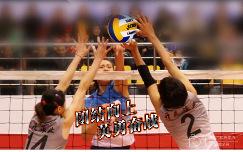 Ballon de volley-ball - Ref 2016438 Image 11