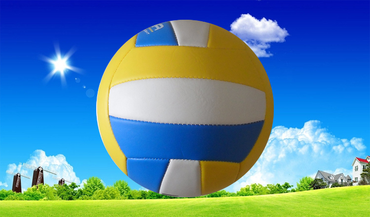 Ballon de volley - Ref 2013349 Image 27