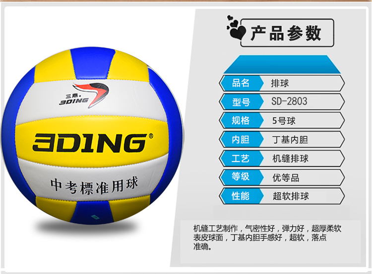 Ballon de volley - Ref 2012507 Image 8