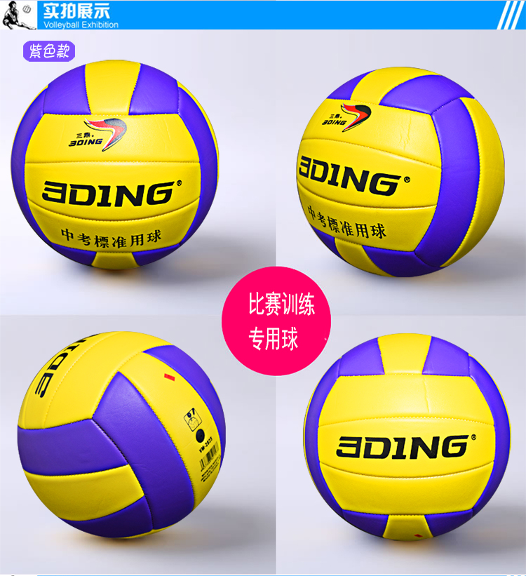 Ballon de volley - Ref 2012507 Image 19