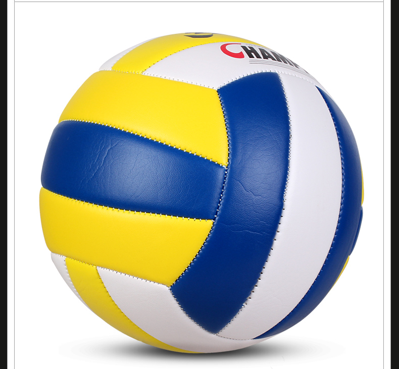 Ballon de volley - Ref 2009014 Image 13