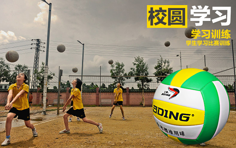 Ballon de volley - Ref 2012507 Image 15