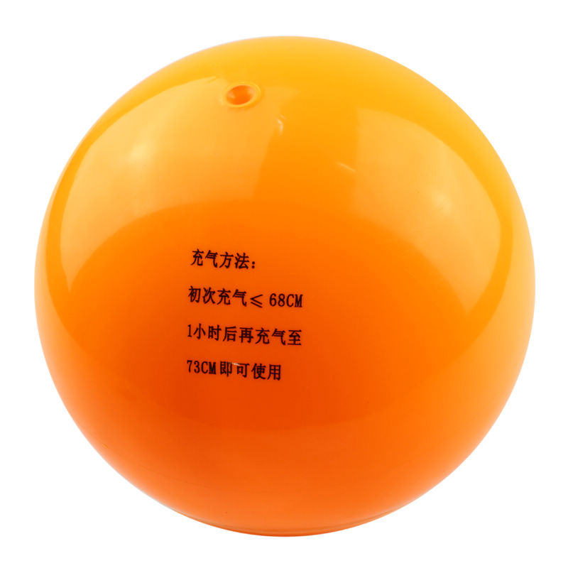 Ballon de volley-ball - Ref 2013005 Image 7