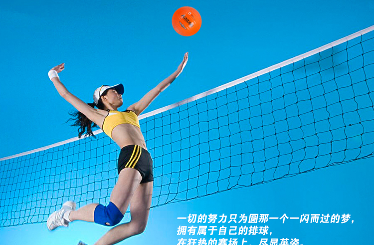 Ballon de volley-ball - Ref 2008879 Image 5