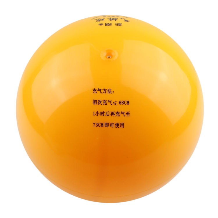 Ballon de volley-ball - Ref 2013005 Image 13