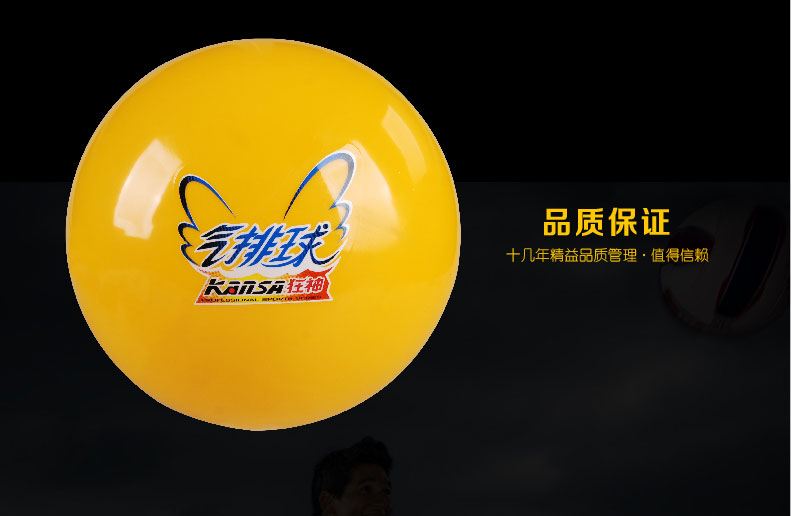 Ballon de volley - Ref 2009102 Image 19