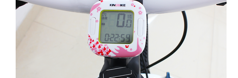 Tableau de bord vélo - Ref 2428643 Image 17
