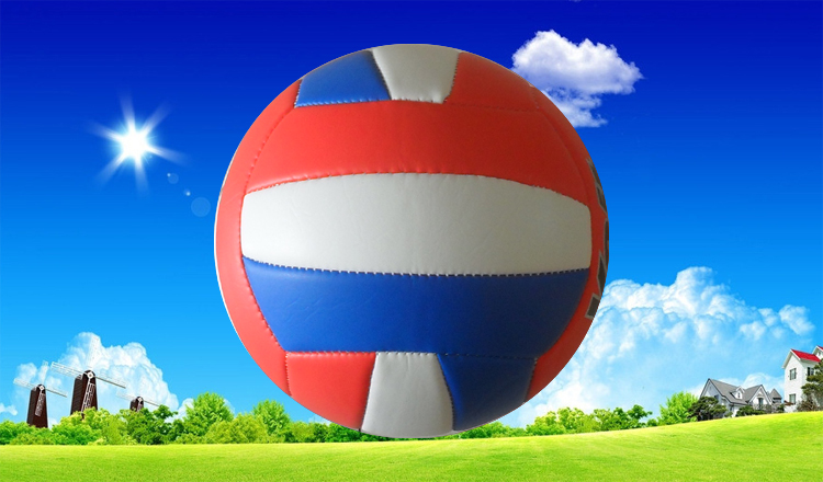 Ballon de volley - Ref 2013349 Image 22