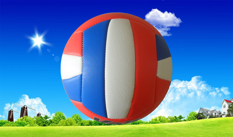 Ballon de volley - Ref 2013349 Image 23