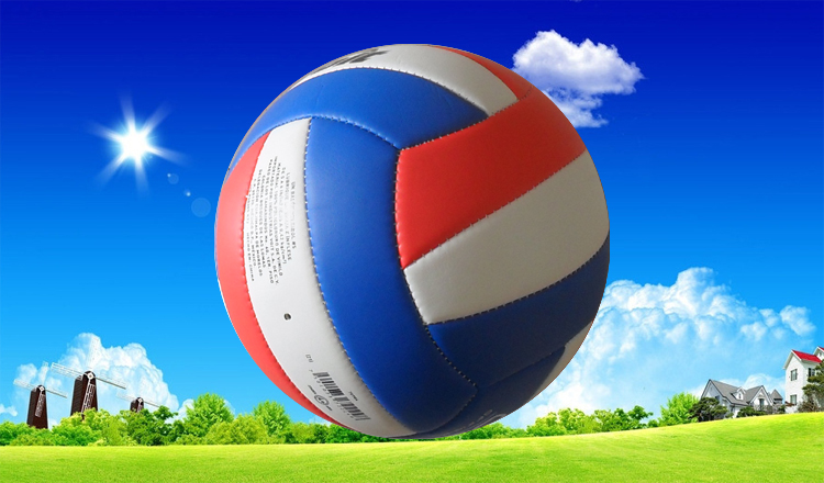 Ballon de volley - Ref 2013349 Image 21