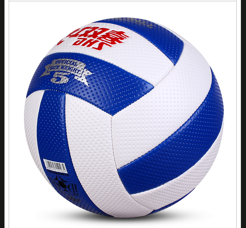 Ballon de volley - Ref 2009014 Image 20