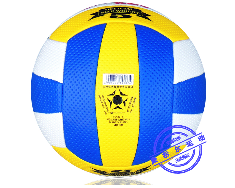 Ballon de volley-ball - Ref 2016438 Image 38