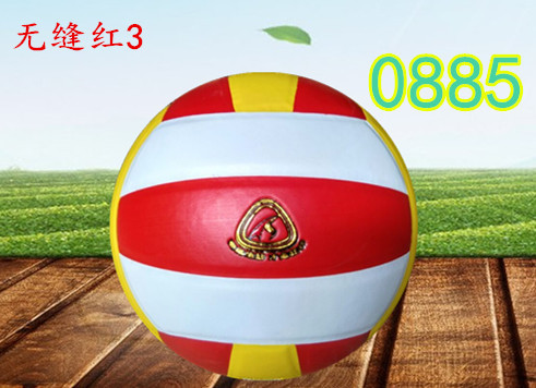 Ballon de volley - Ref 2016432 Image 19