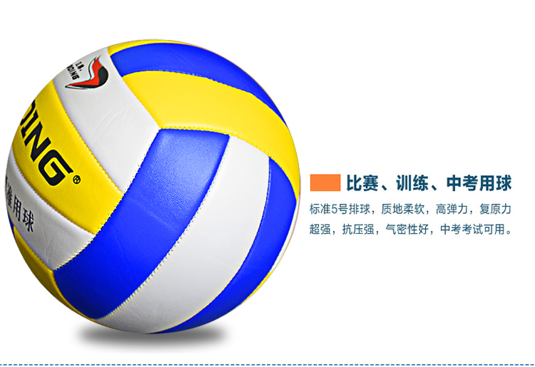 Ballon de volley - Ref 2012507 Image 9