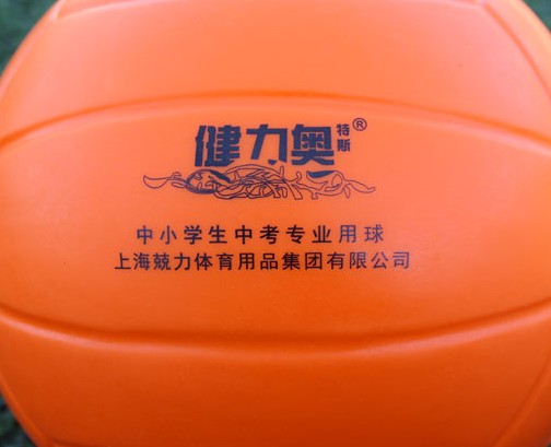 Ballon de volley-ball - Ref 2008293 Image 9